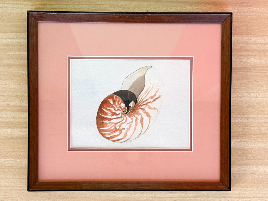 Set of Three Original Watercolor Shell Art by Janet Heaton
