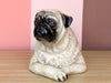 Precious Pug by the Townsends