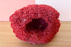 Red Pipe Coral