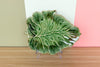 Monstera Leaf Ceramic Plate