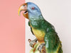 Large Italian Parrot Figurine