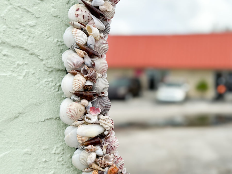Old Florida Shell Mirror