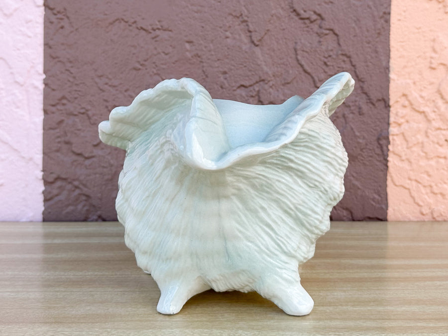 Seafoam Conch Shell Cachepot