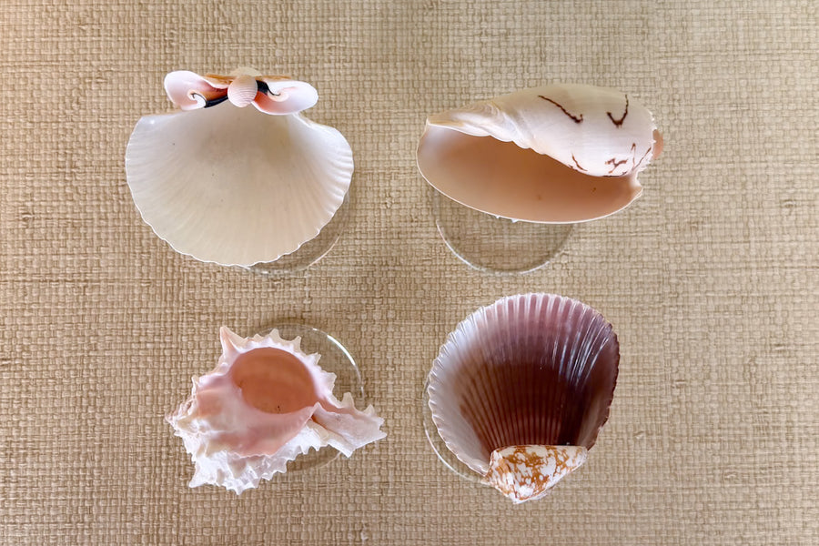Set of Four Shell Coupes