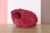 Red Pipe Coral