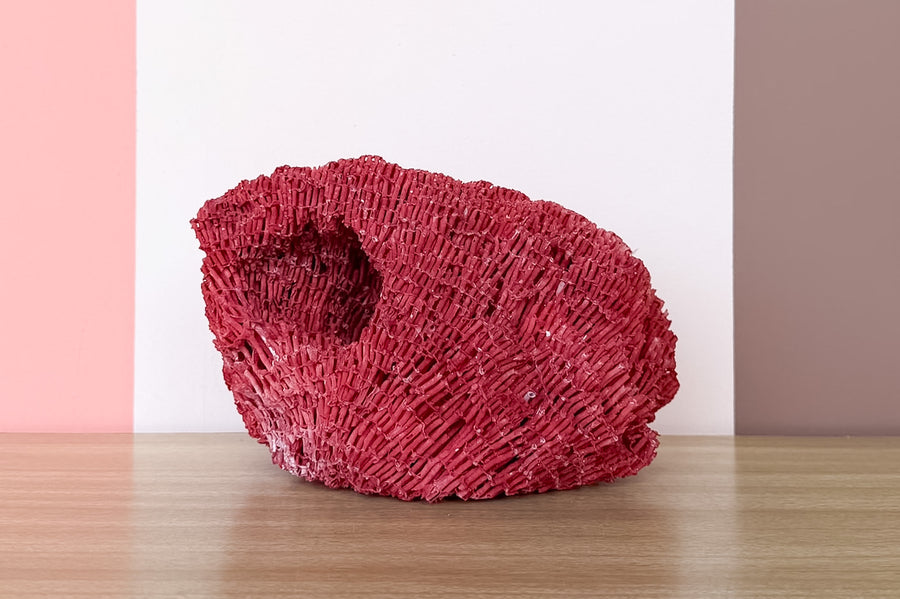 Red Pipe Coral