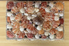 Large Old Florida Shell Box