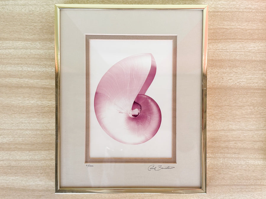 Pair of Lavender Haze Shell Prints