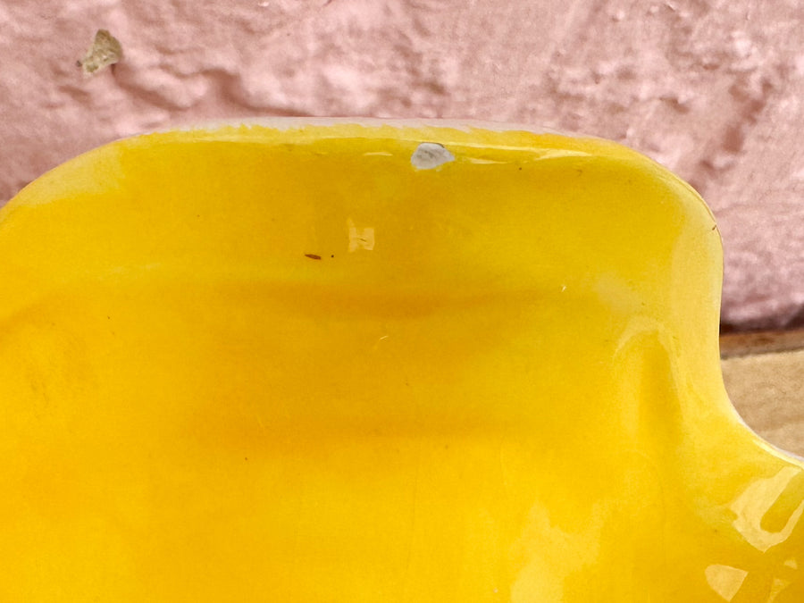 Happy Yellow Clam Shell