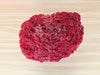 Red Pipe Coral On Stand
