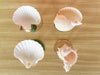 Set of Four Colorful Shell Coupes