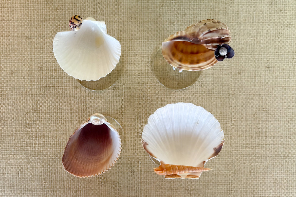 Set of Four Shell Coupes