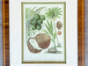 Pair of Colorful Fruit Framed Prints