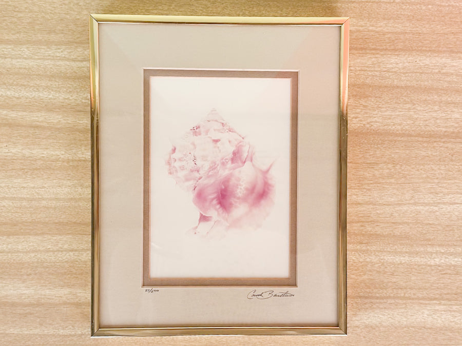 Pair of Lavender Haze Shell Prints