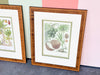 Pair of Colorful Fruit Framed Prints