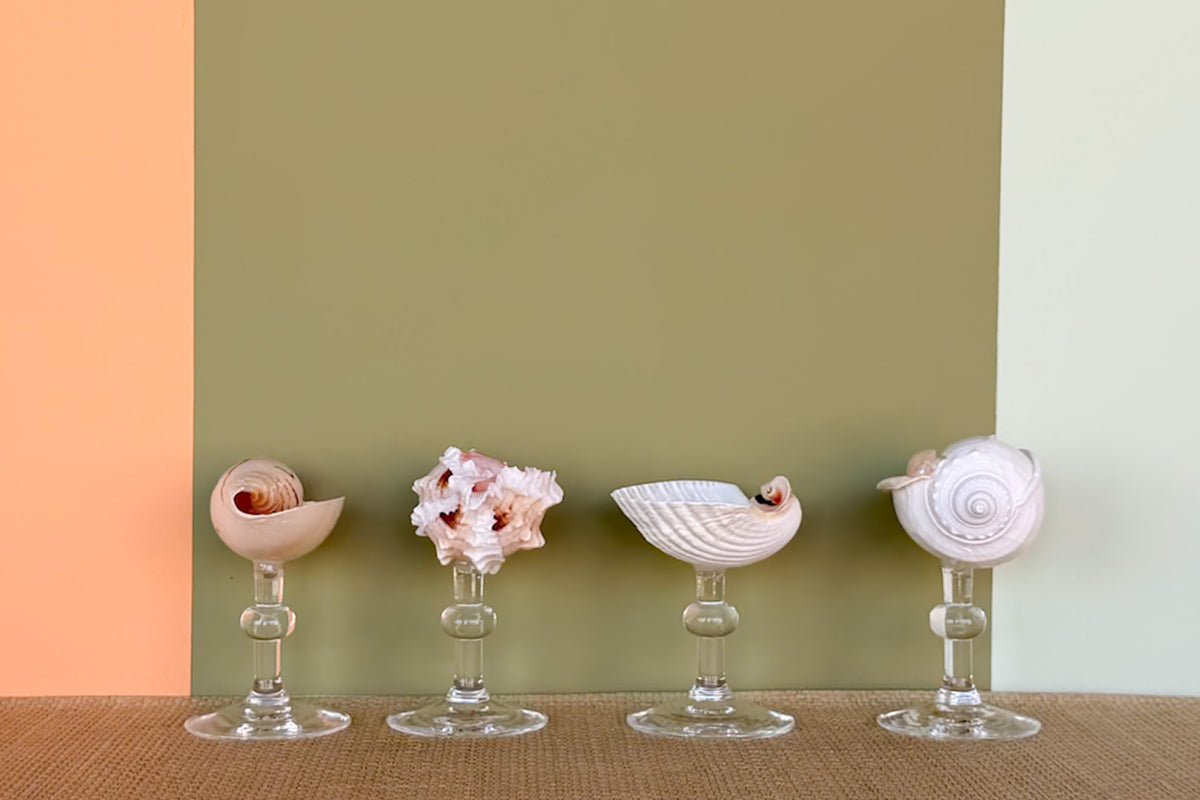 Set of Four Shell Coupes