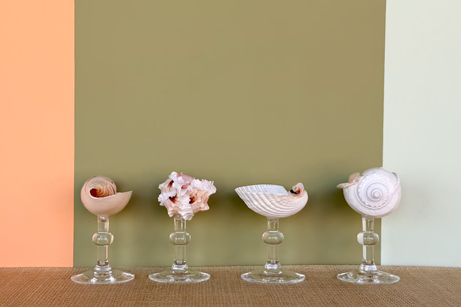 Set of Four Shell Coupes