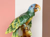 Large Italian Parrot Figurine