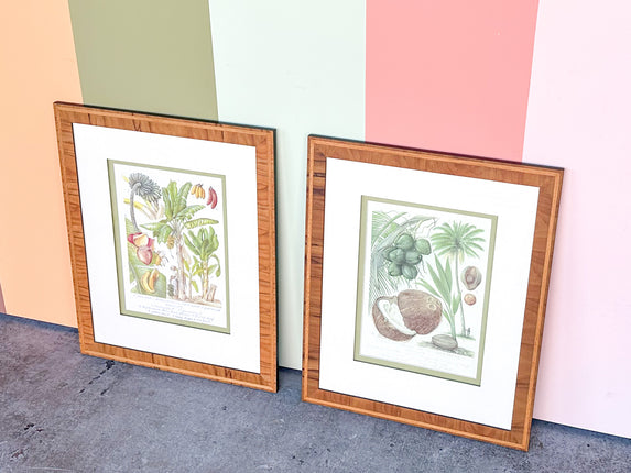 Pair of Colorful Fruit Framed Prints