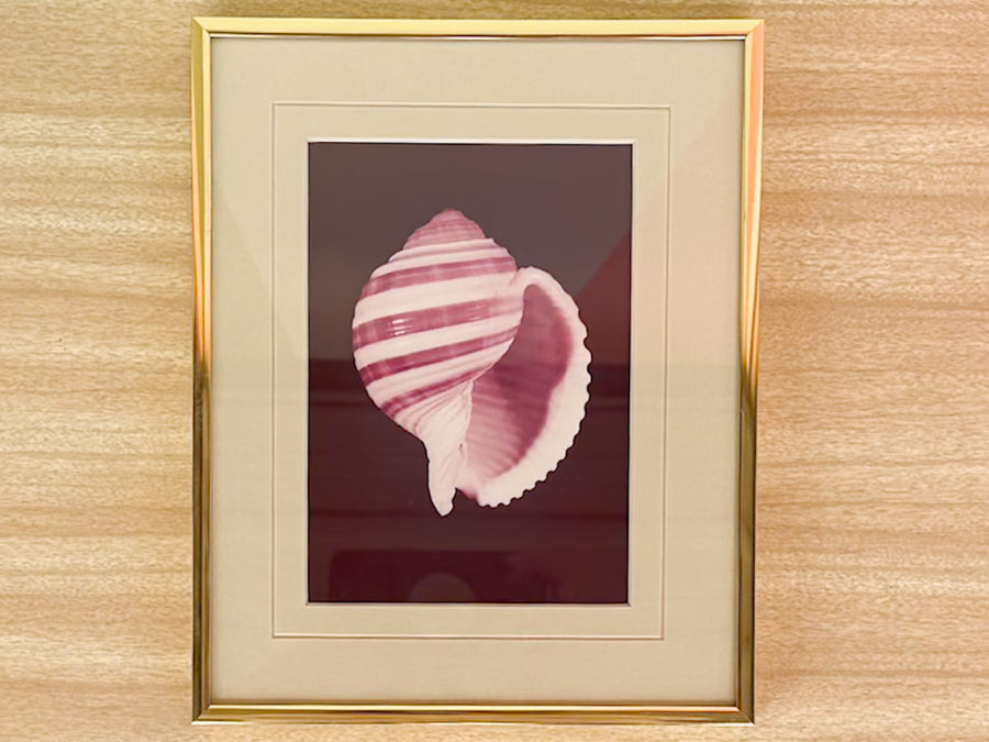 Pair of Purple Haze Shell Prints
