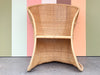 Pair of Wicker Chic Accent Chairs