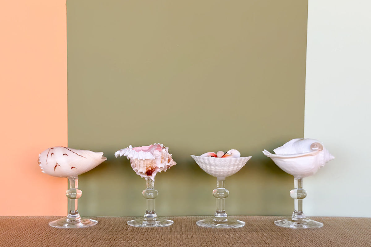 Set of Four Shell Coupes