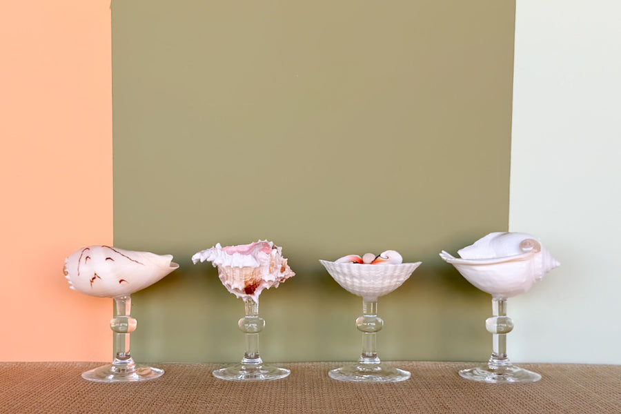 Set of Four Shell Coupes