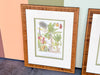 Pair of Colorful Fruit Framed Prints