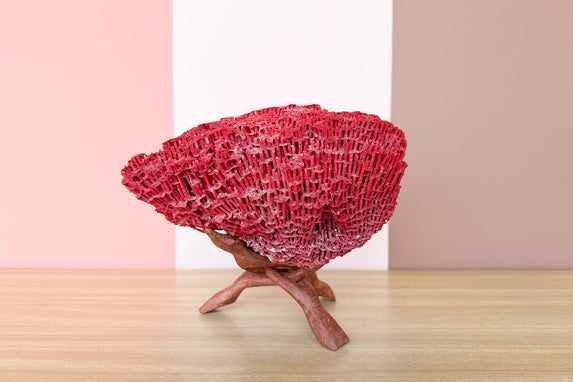 Red Pipe Coral On Stand