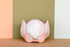 Sweet Shell Cachepot