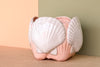 Sweet Shell Cachepot