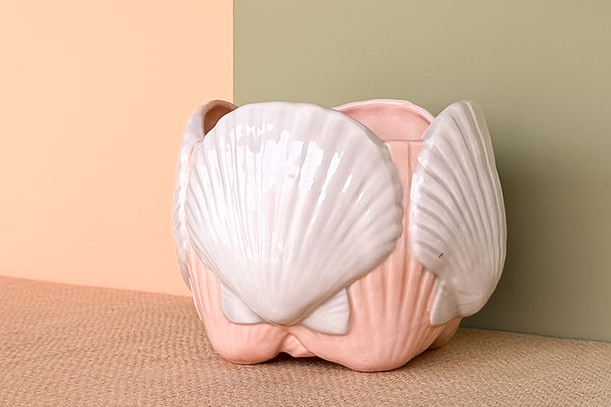 Sweet Shell Cachepot