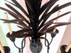 Tole Pineapple and Tassel Chandelier