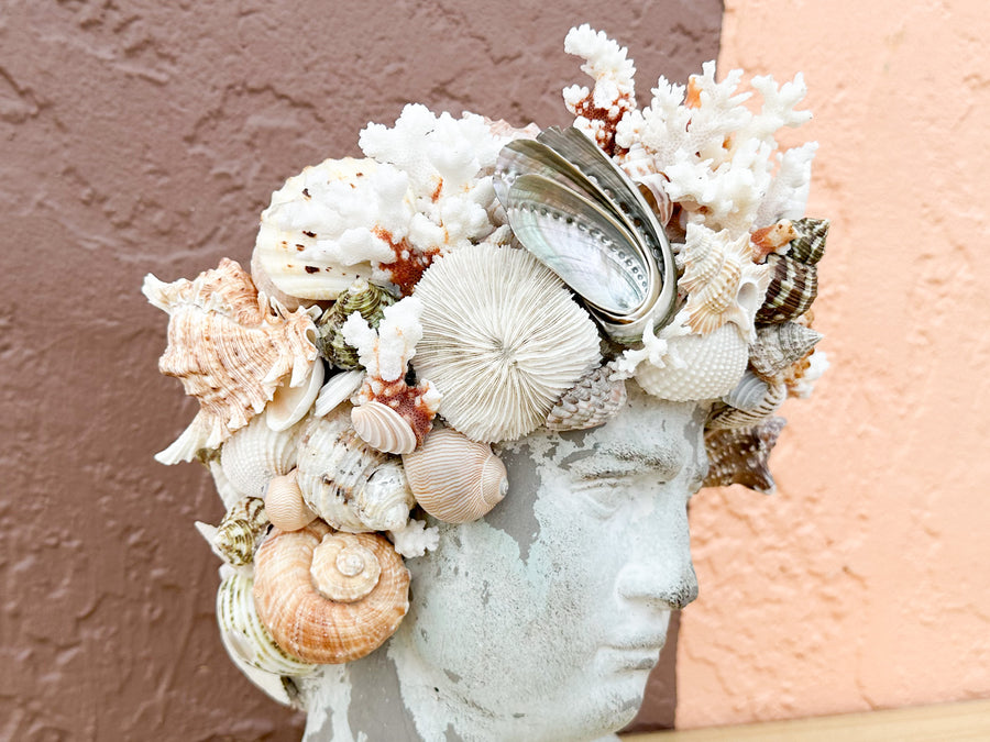 Shellegance Bust Cachepot
