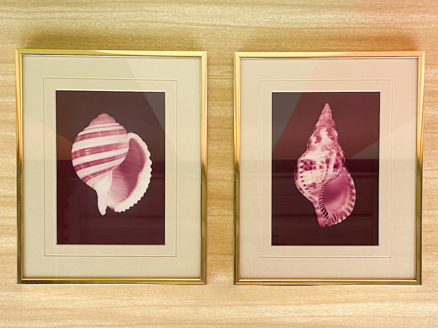 Pair of Purple Haze Shell Prints
