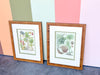 Pair of Colorful Fruit Framed Prints