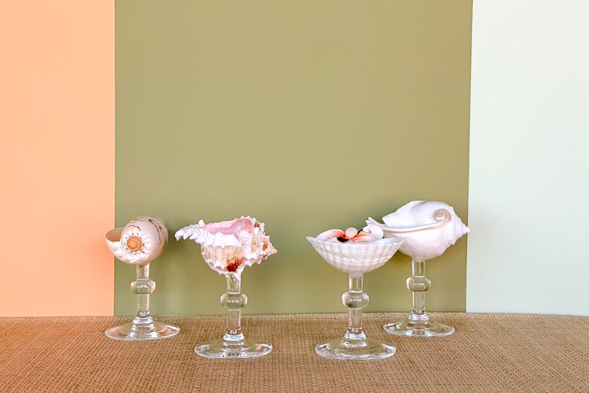 Set of Four Shell Coupes