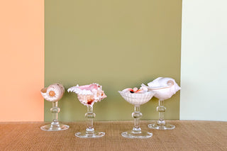Set of Four Shell Coupes