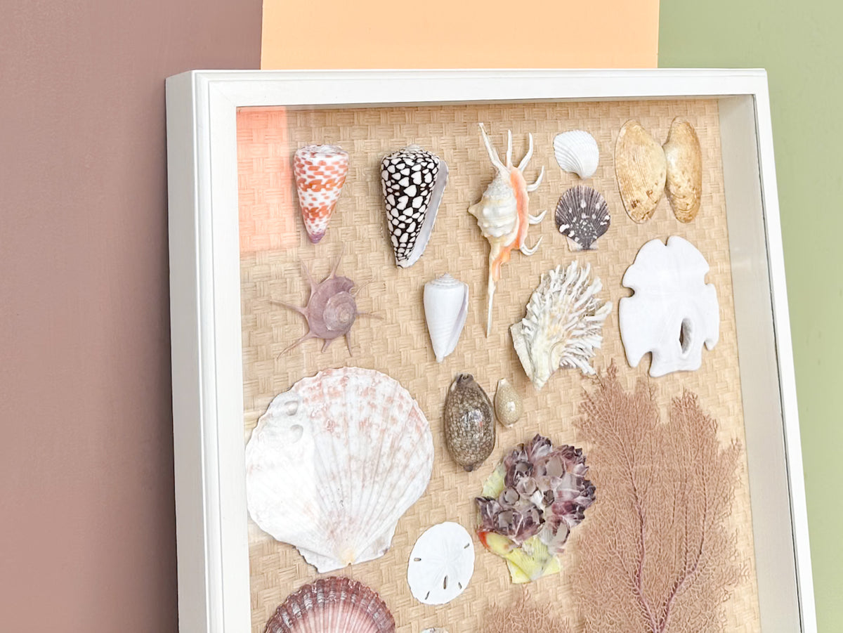 Shadowbox Shell Art