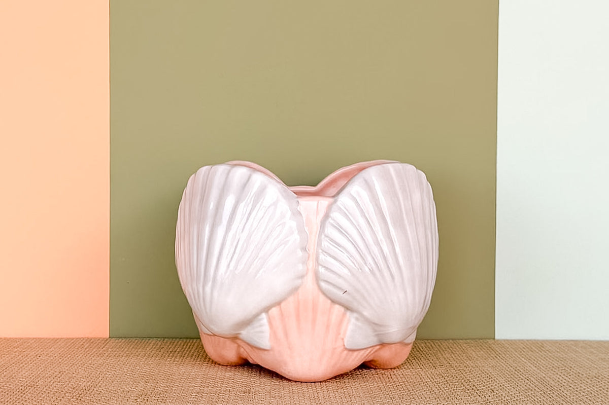 Sweet Shell Cachepot