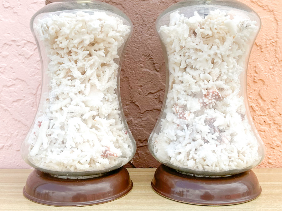 Pair of Coastal Chic Shell Lamps