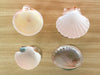 Set of Four Colorful Shell Coupes
