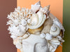 Custom Large Shell Bust