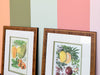 Pair of Colorful Fruit Framed Prints