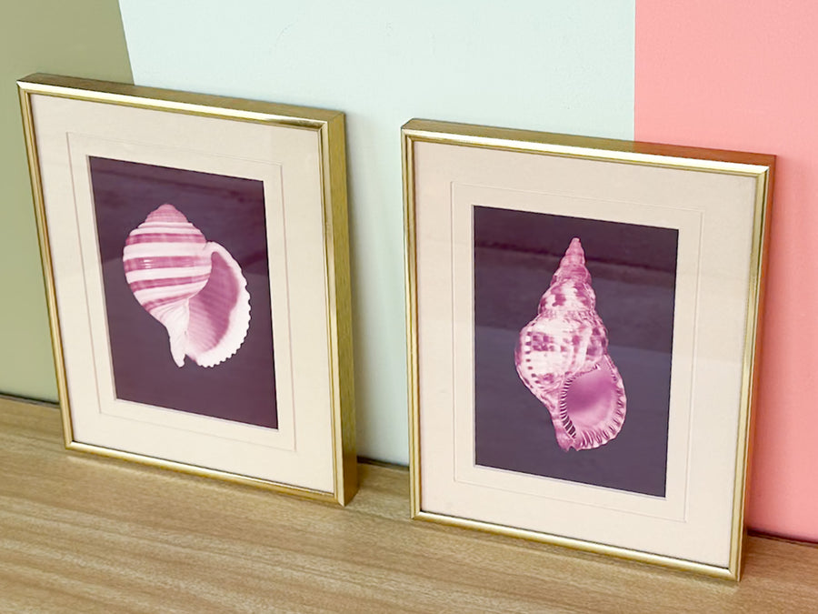 Pair of Purple Haze Shell Prints
