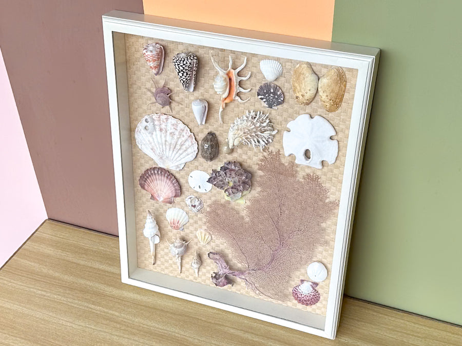 Shadowbox Shell Art