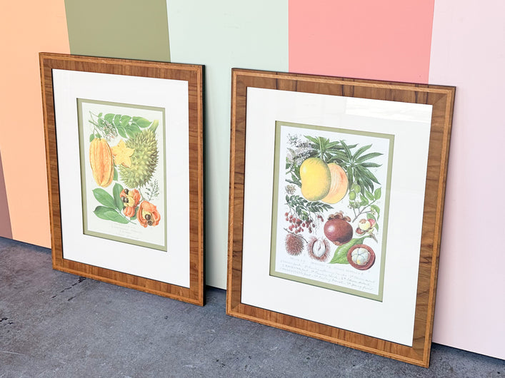 Pair of Colorful Fruit Framed Prints