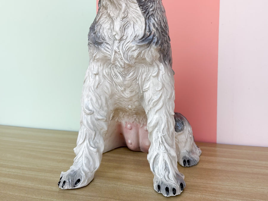 Darling Schnauzer by the Townsends