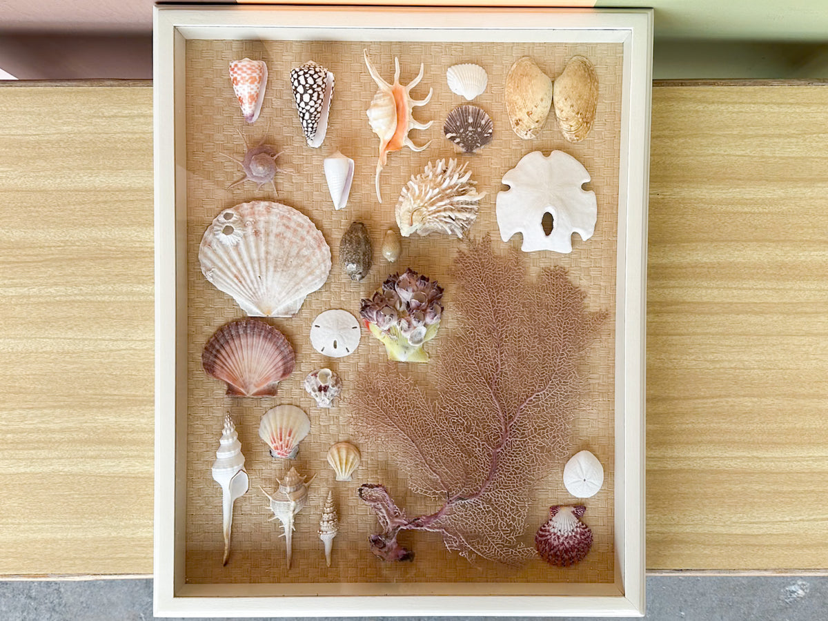 Shadowbox Shell Art