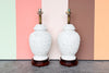 Pair of Blanc de Chine Flower Ginger Jar Lamps